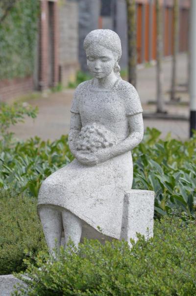 Balfortstraat 81 a wp