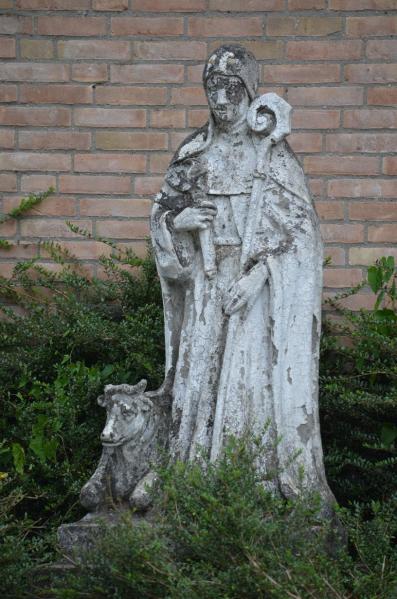 Pastoor Doensstraat 3 wp