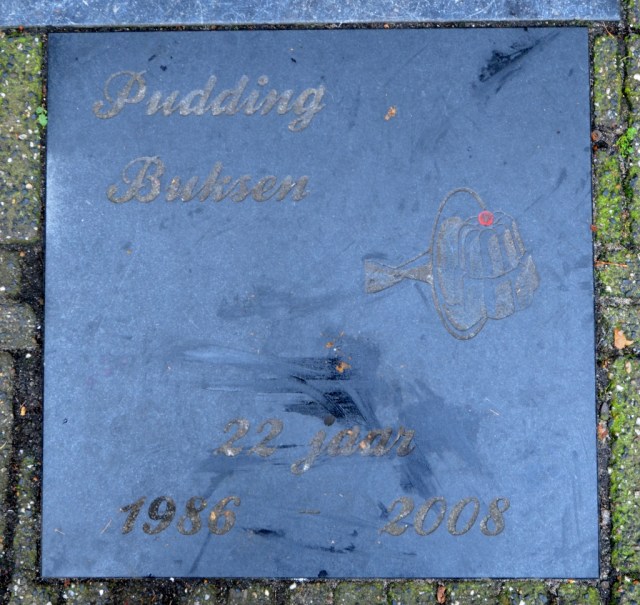 markt-10-a3-1024x968