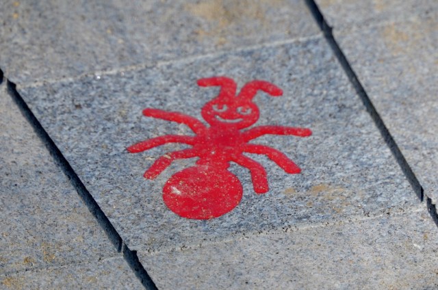 Willemstraat (1024x679)